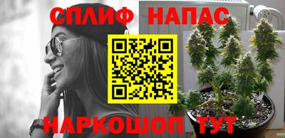 гашик Нягань