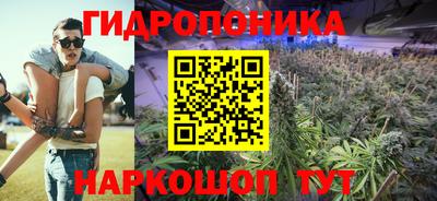 гашик Нягань