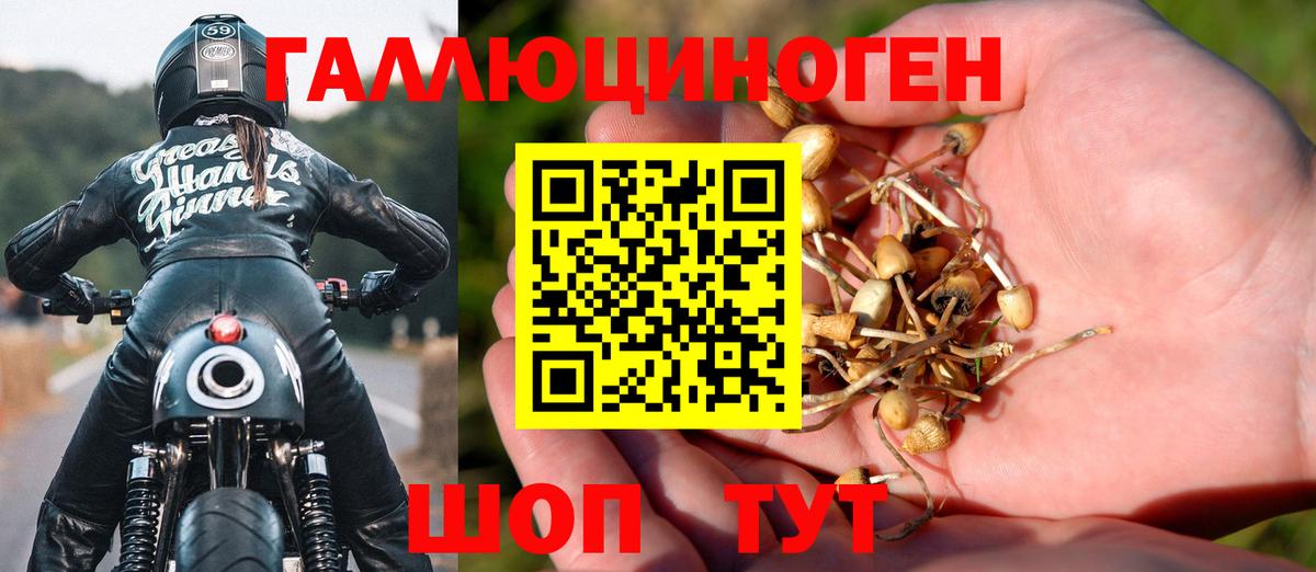 Псилоцибиновые грибы ЛСД Тихорецк