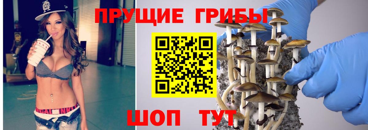 Псилоцибиновые грибы GOLDEN TEACHER  Вход с VPN  Тихорецк 